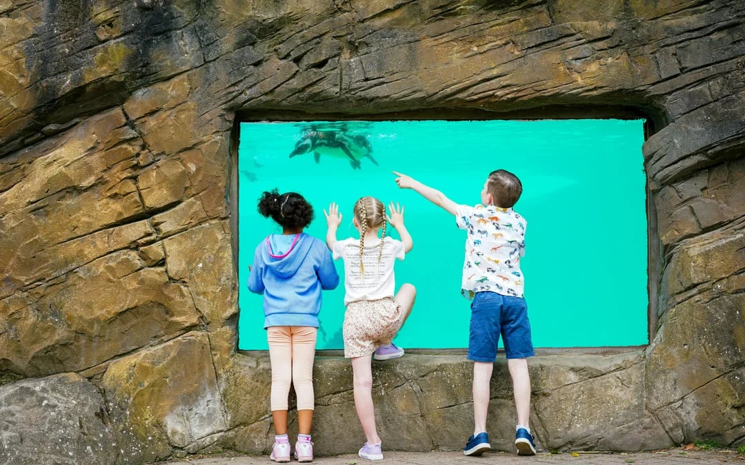 Blackpool Zoo Entry Ticket Image 6