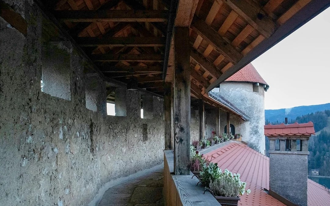  Bled Castle Tickets
 Image 5