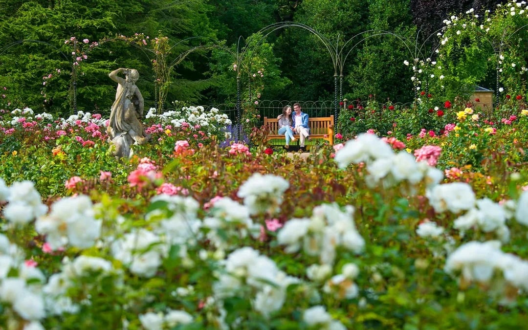 Blenheim Palace Entry Tickets Image 10