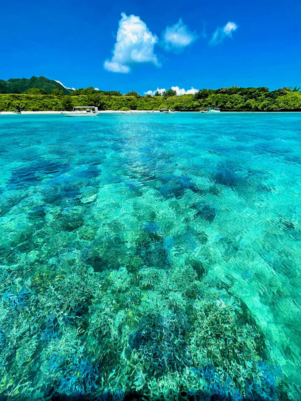 Blue Coral Glass Boat, Ishigaki Island, Okinawa