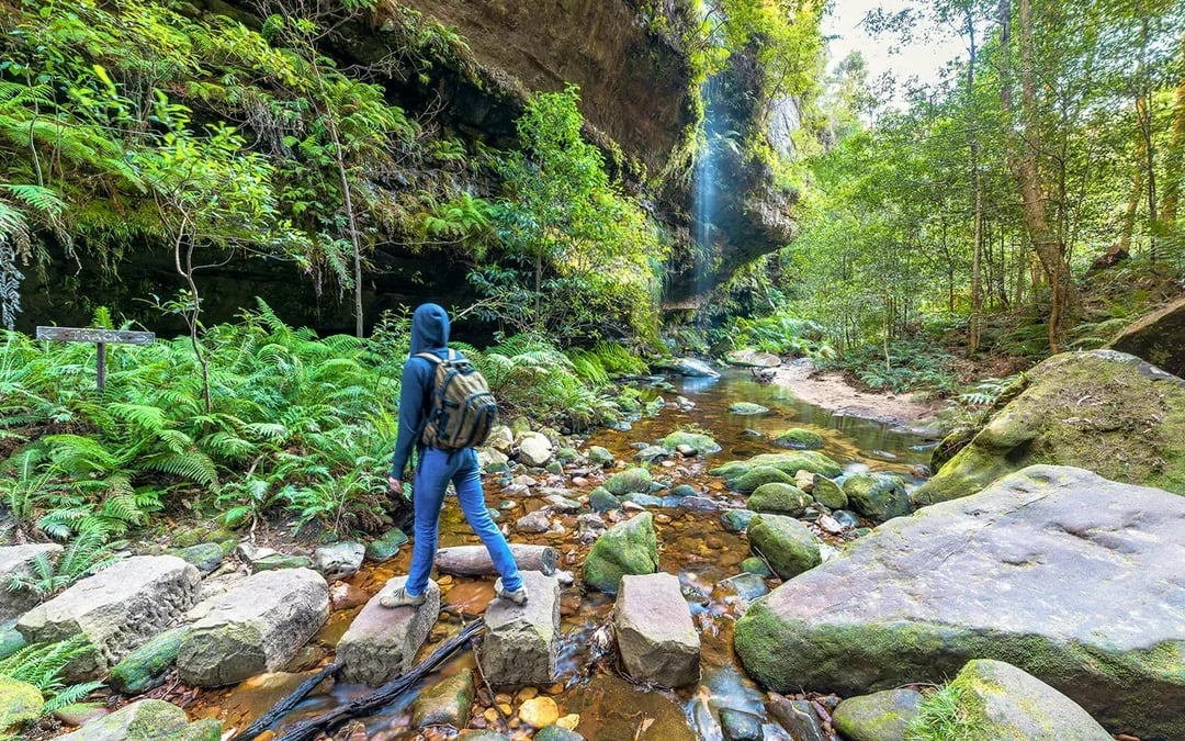 Blue Mountains Adventure Tour: Scenic World, Sydney Zoo, Koala Photo & Harbour Ferry Return Image 1