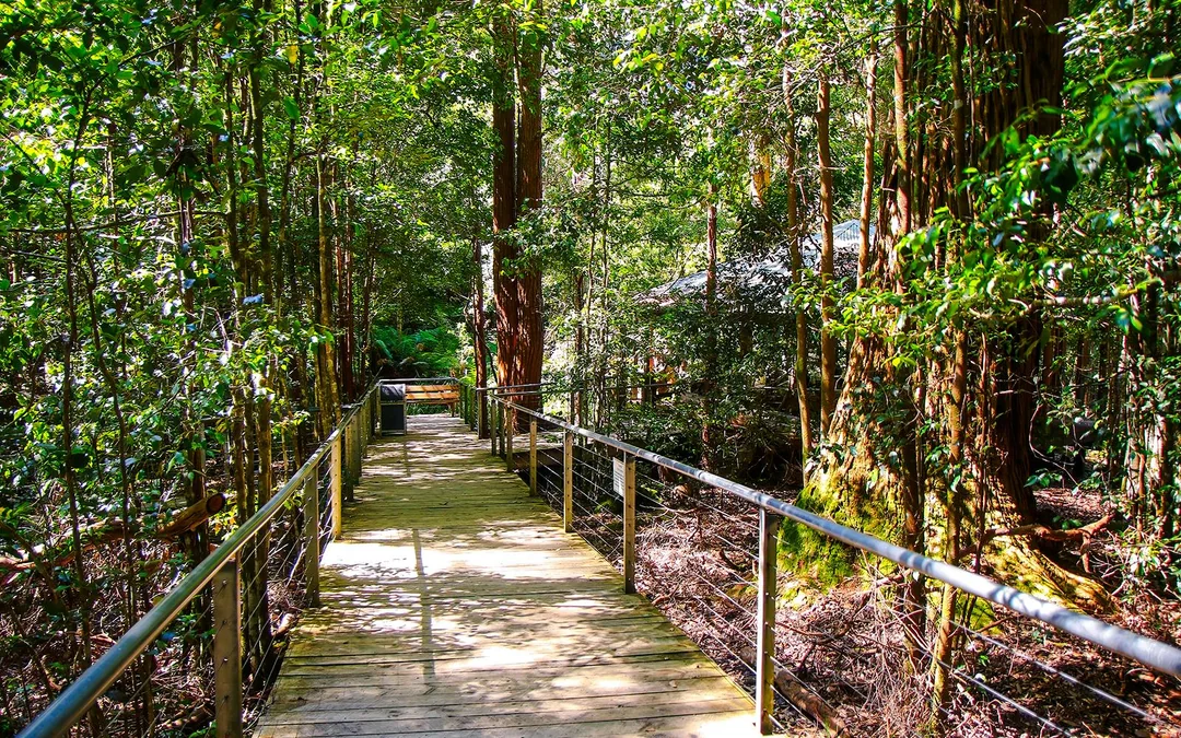 Blue Mountains Beat-the-Crowd Tour: Scenic World, Sydney Zoo & Harbour Ferry Return Image 12