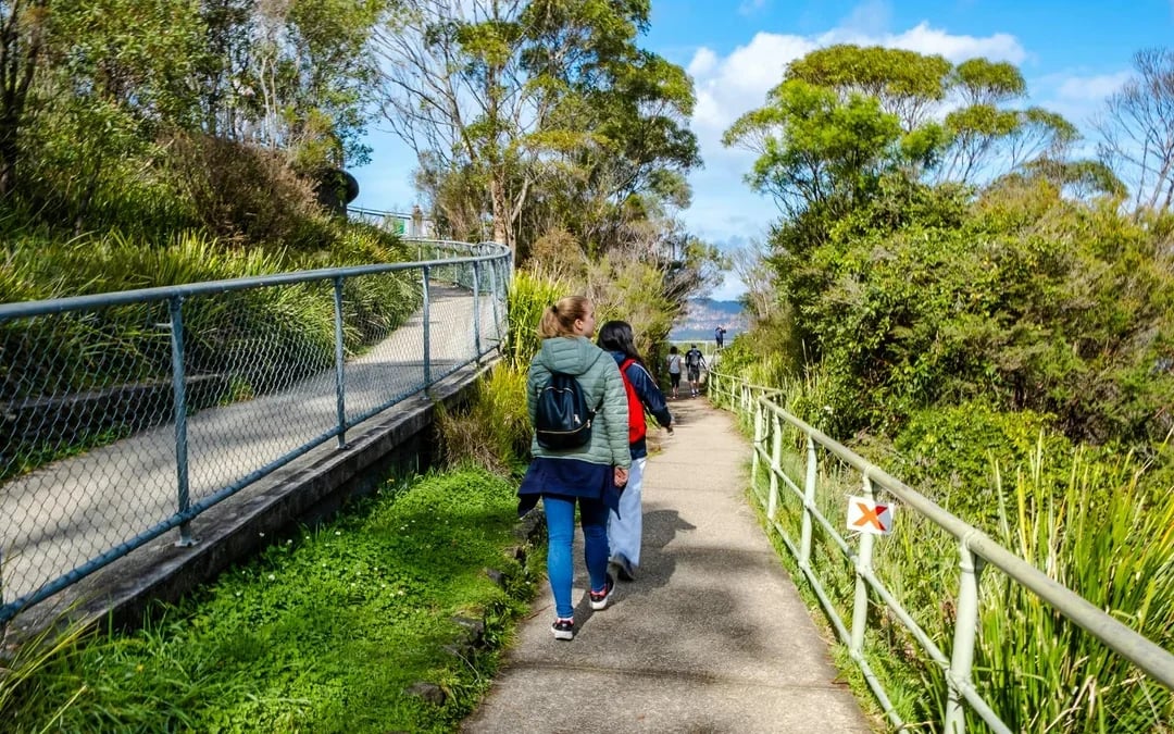 Blue Mountains Beat-the-Crowd Tour: Scenic World, Sydney Zoo & Harbour Ferry Return Image 8