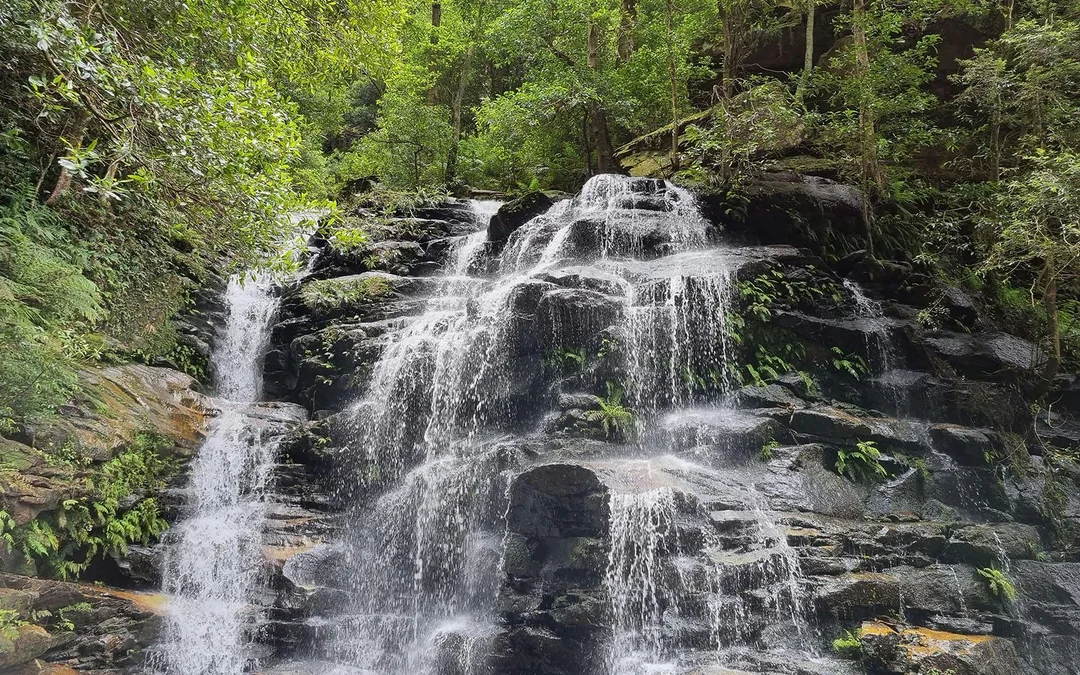 Blue Mountains Cultural Adventure: Wentworth Falls Bushwalks and Aboriginal Sites Image 3