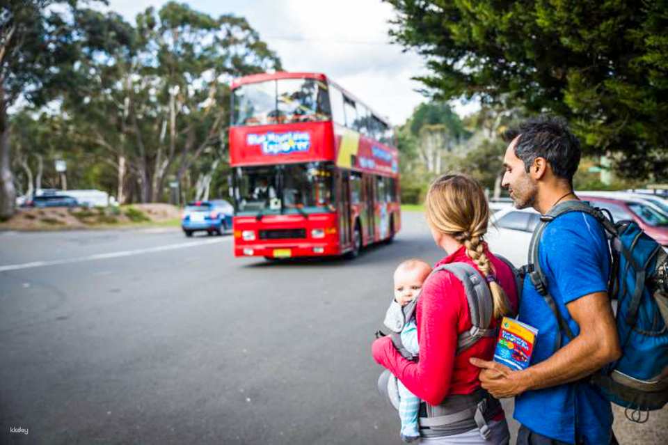 Blue Mountains Explorer Bus 1-Day Unlimited Access Ticket | Australia