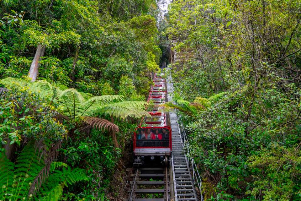Blue Mountains Explorer Bus 1-Day Unlimited Access Ticket | Australia