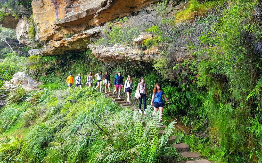 Blue Mountains Off the Beaten Path Guided Bushwalks, Secret Lookouts & BBQ Lunch Image 3