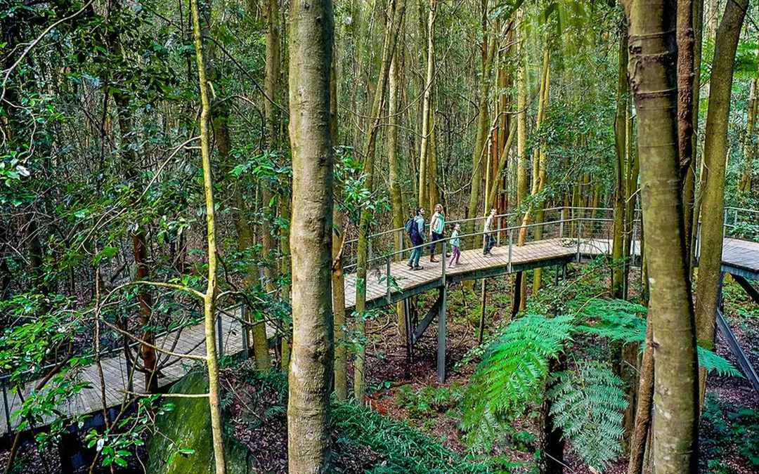 Blue Mountains Scenic World Tickets Image 5