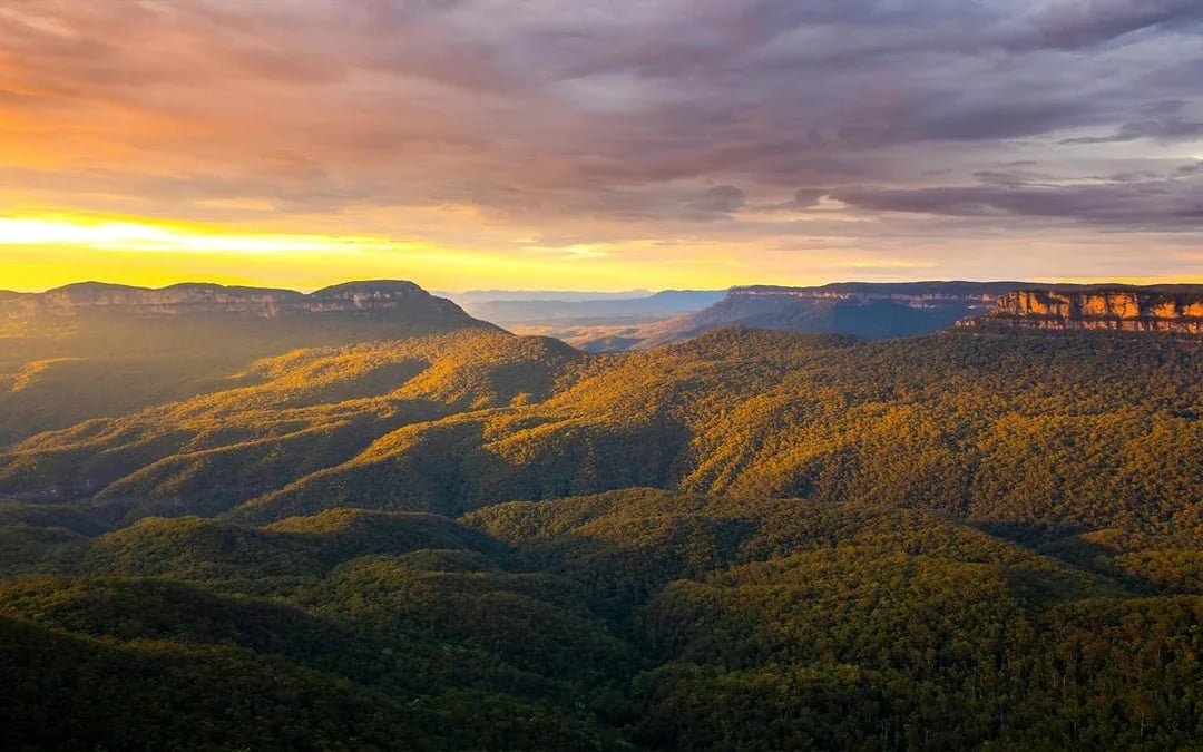 Blue Mountains Sunset Tour: Wentworth Falls Bushwalks, Wildlife & Lookouts Image 1