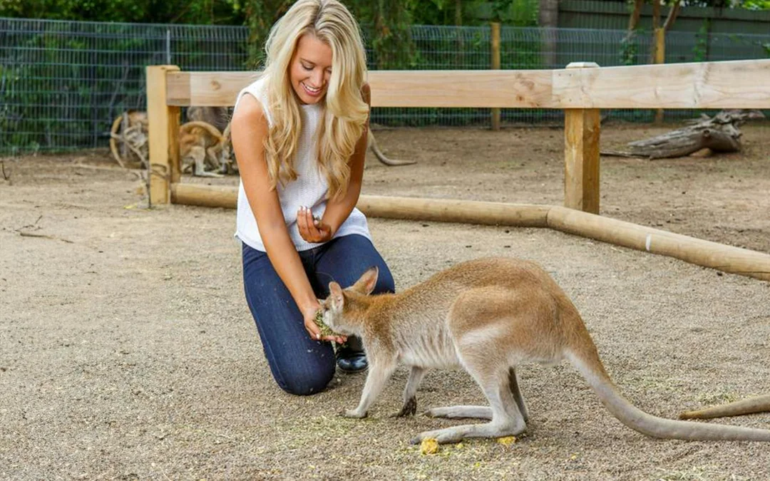 Blue Mountains Tour: Lunch, Scenic World, Sydney Zoo or Featherdale Wildlife Park, & Harbour Ferry Return Image 12