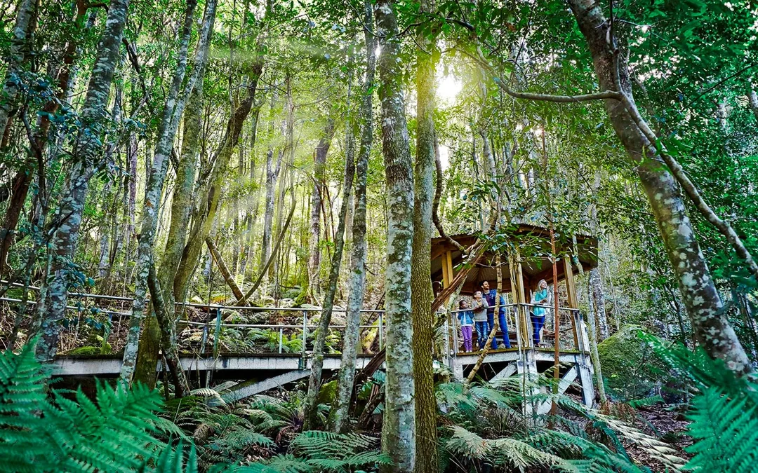 Blue Mountains Tour with Scenic World & Sydney Zoo or Featherdale Wildlife Park Image 3
