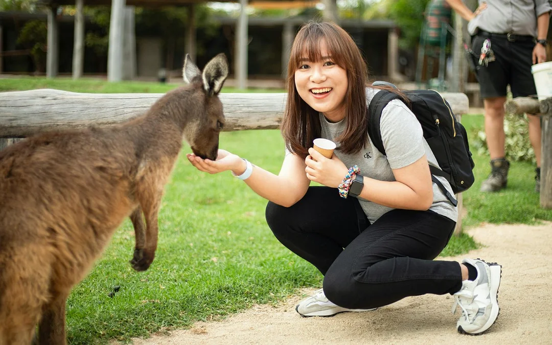 Blue Mountains Tour with Scenic World & Sydney Zoo Image 2