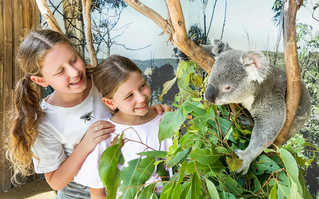 Blue Mountains Tour with Scenic World & Sydney Zoo Image 3