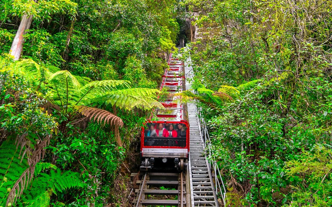 Blue Mountains Tour with Scenic World & Sydney Zoo Image 5