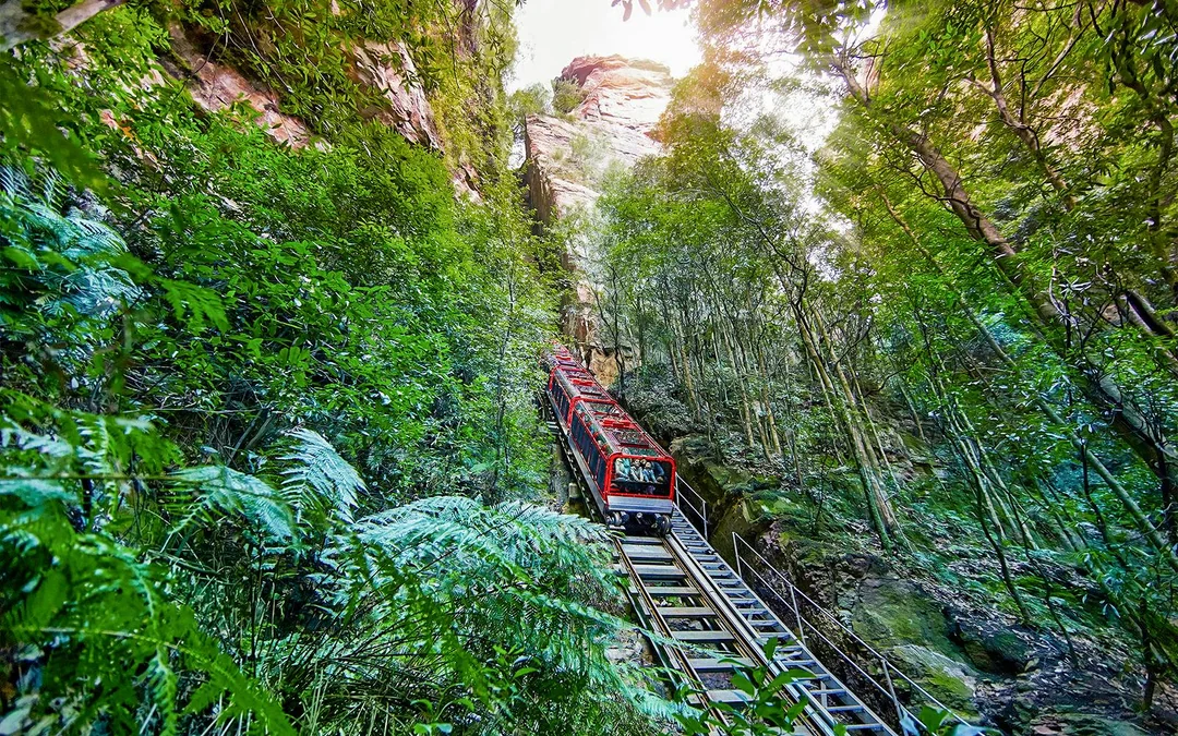 Blue Mountains Tour with Scenic World, Sydney Zoo & Koala Photo Image 2