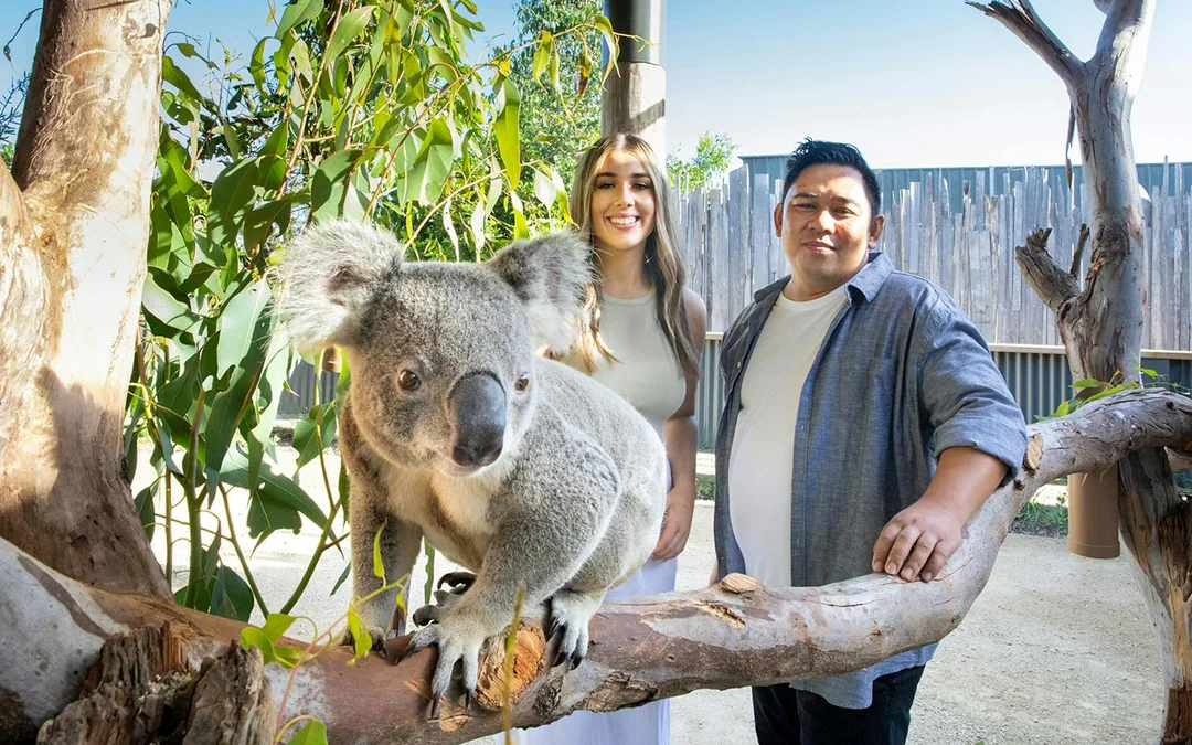 Blue Mountains Tour with Scenic World, Sydney Zoo & Koala Photo Image 5