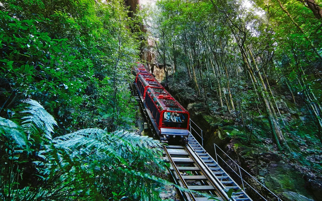 Blue Mountains Zig Zag Train with Scenic World & Harbour Cruise Tour Image 2