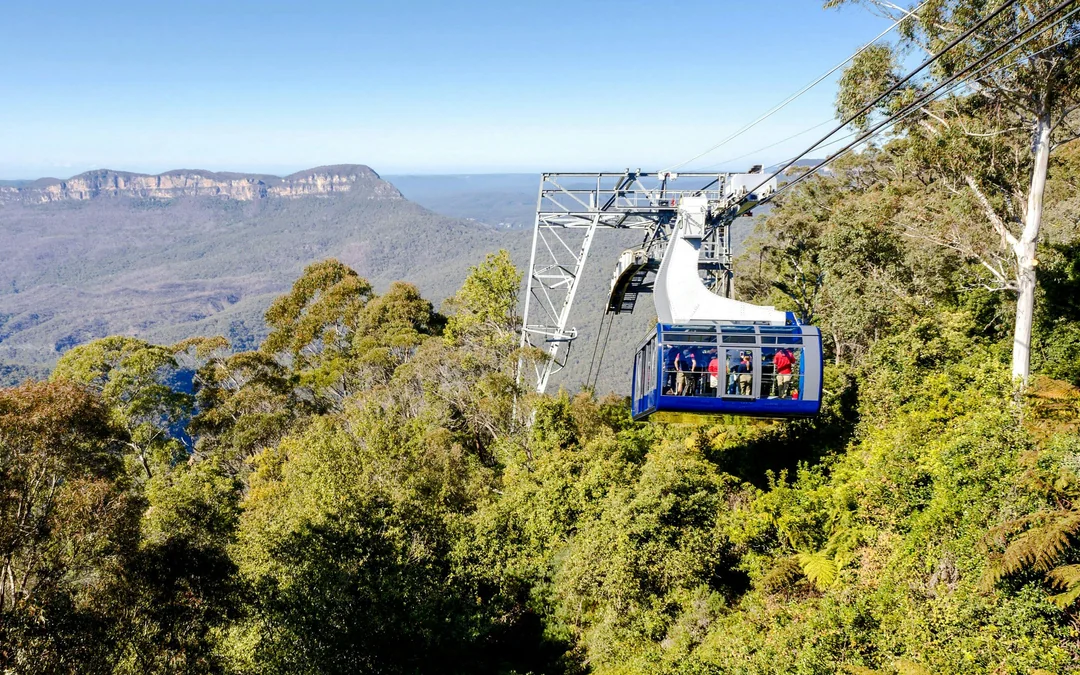 Blue Mountains Zig Zag Train with Scenic World  & Harbour Cruise Tour Image 5