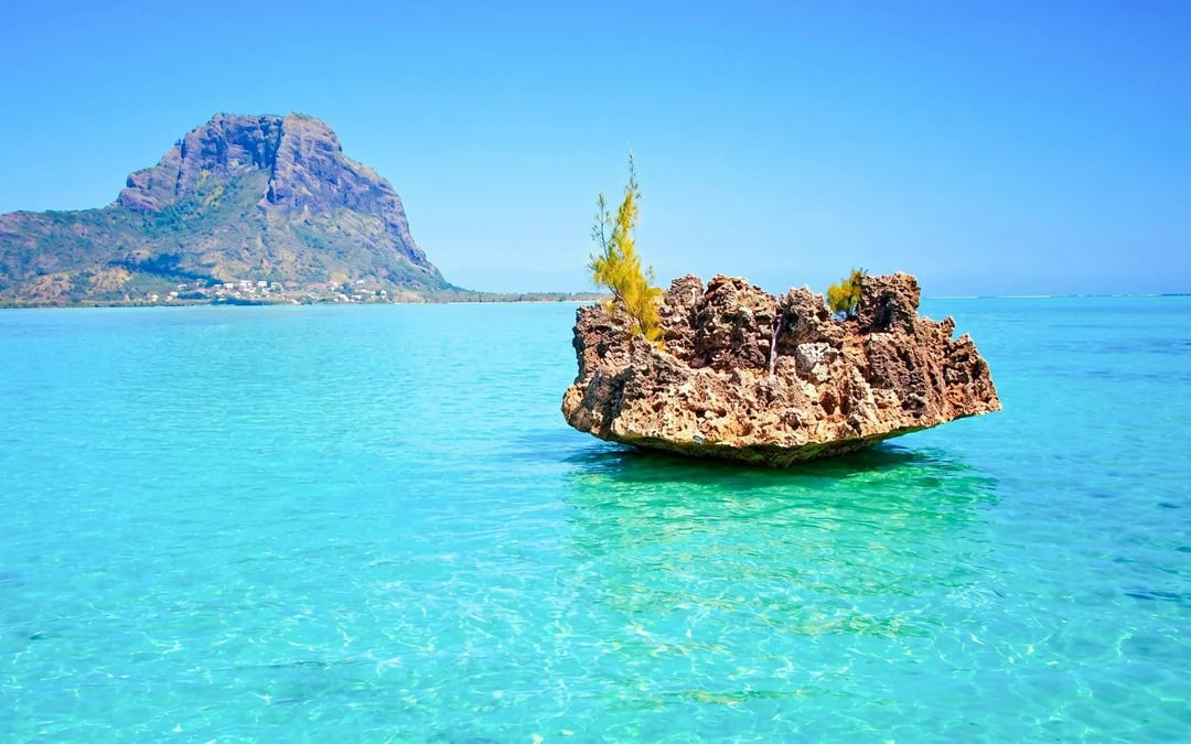 Boat tour to Ile aux Benitiers with Dolphin sightings & BBQ lunch Image 3