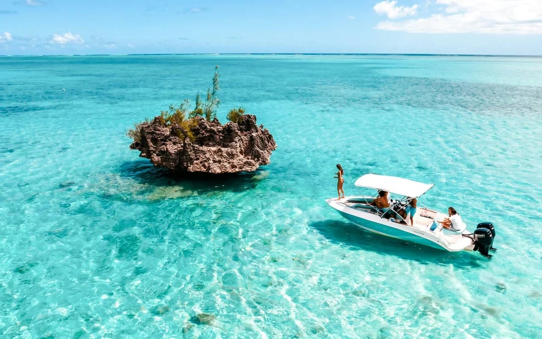 Boat tour to Ile aux Benitiers with Dolphin sightings & BBQ lunch Image 6