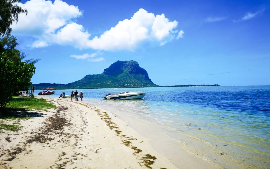 Boat tour to Ile aux Benitiers with Dolphin sightings & BBQ lunch Image 10