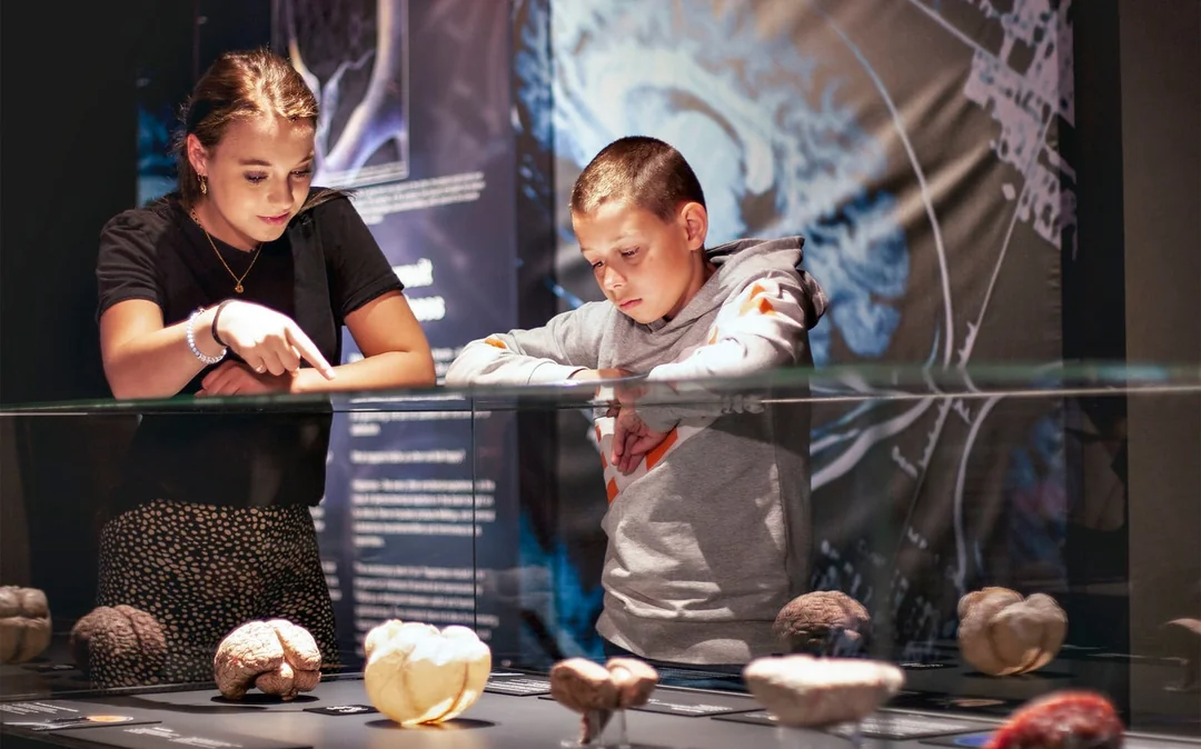 Body Worlds Amsterdam: The Happiness Project Skip-the-Line Tickets Image 4