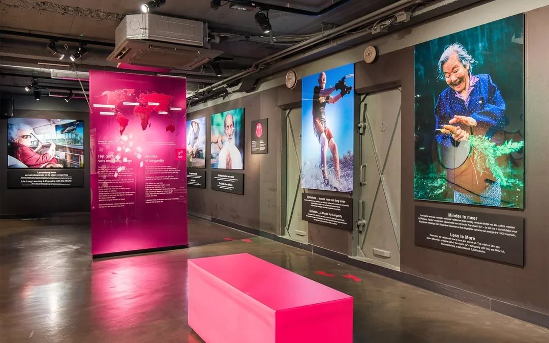 Body Worlds Amsterdam: The Happiness Project Skip-the-Line Tickets Image 5
