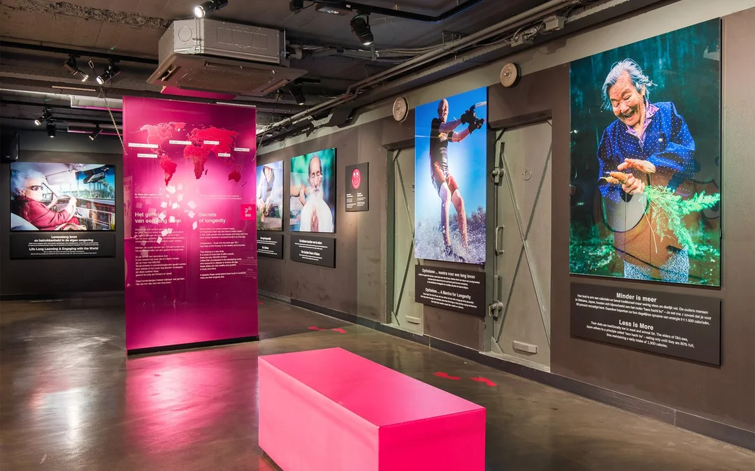 Body Worlds Amsterdam: The Happiness Project Skip-the-Line Tickets Image 5