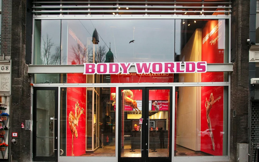 Body Worlds Amsterdam: The Happiness Project Skip-the-Line Tickets Image 6
