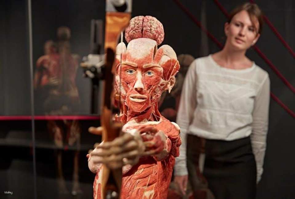 BODY WORLDS Berlin entrance tickets