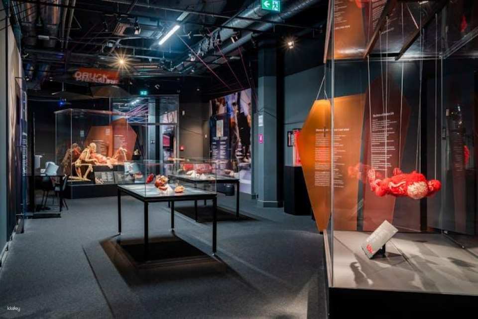 BODY WORLDS Berlin entrance tickets