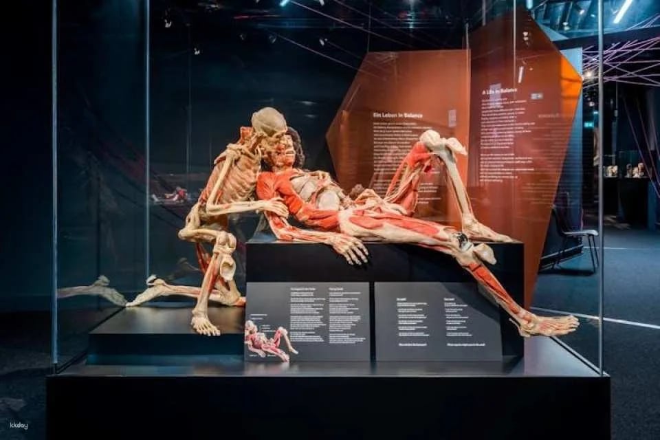 BODY WORLDS Berlin entrance tickets