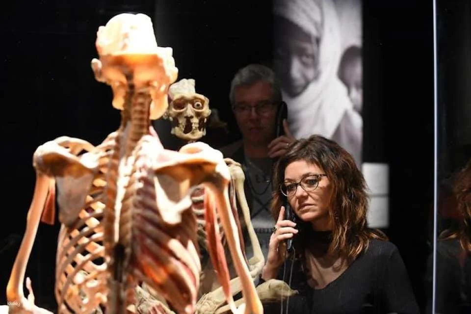 BODY WORLDS Berlin entrance tickets