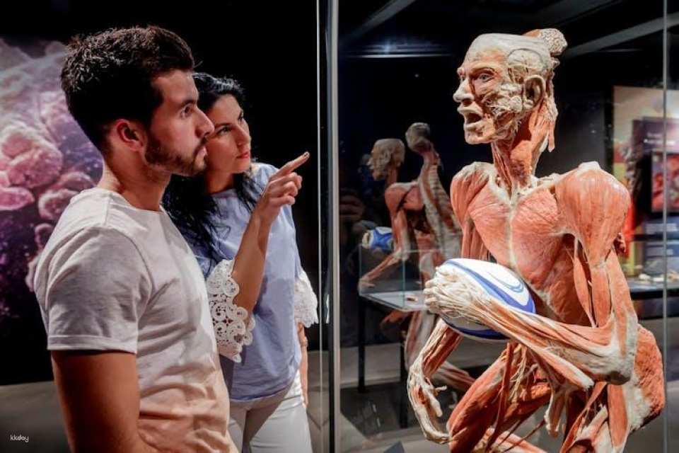 BODY WORLDS Berlin entrance tickets