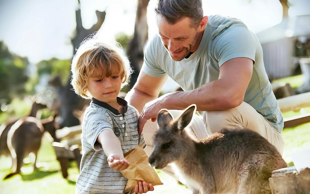 Bonorong Wildlife Sanctuary Tickets Image 1