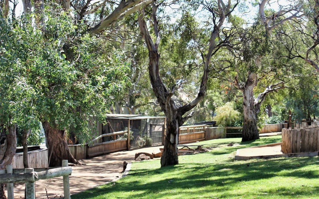 Bonorong Wildlife Sanctuary Tickets Image 3