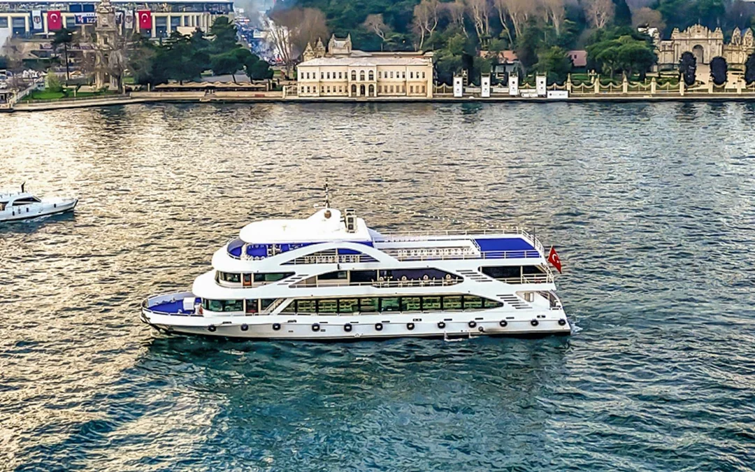 Bosphorus Afternoon Cruise with a Live Guide Image 1