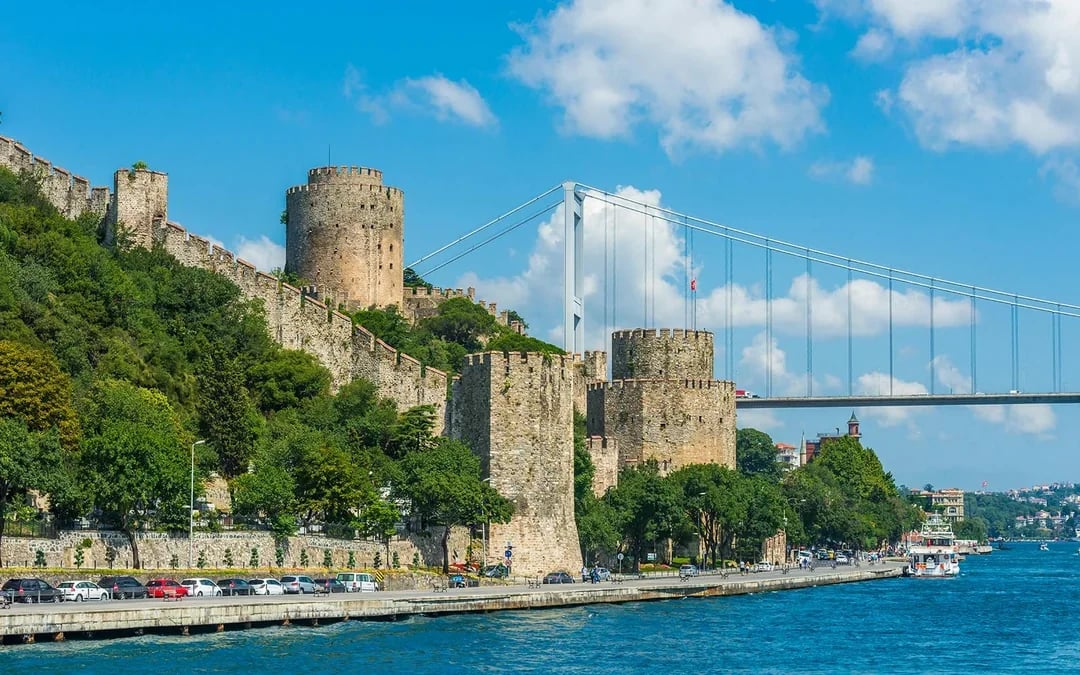 Bosphorus Afternoon Cruise with a Live Guide Image 8