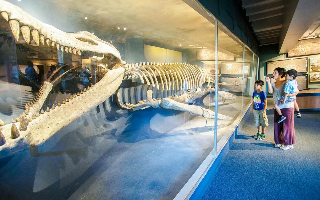 Boston All-Inclusive Pass By Go City: 45+ Attractions Image 4