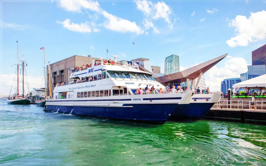 Boston Whale Watching Cruise by New England Aquarium Image 1