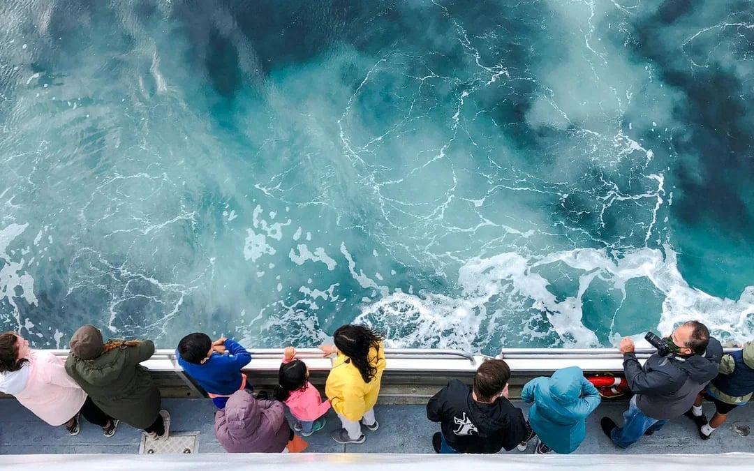 Boston Whale Watching Cruise by New England Aquarium Image 7
