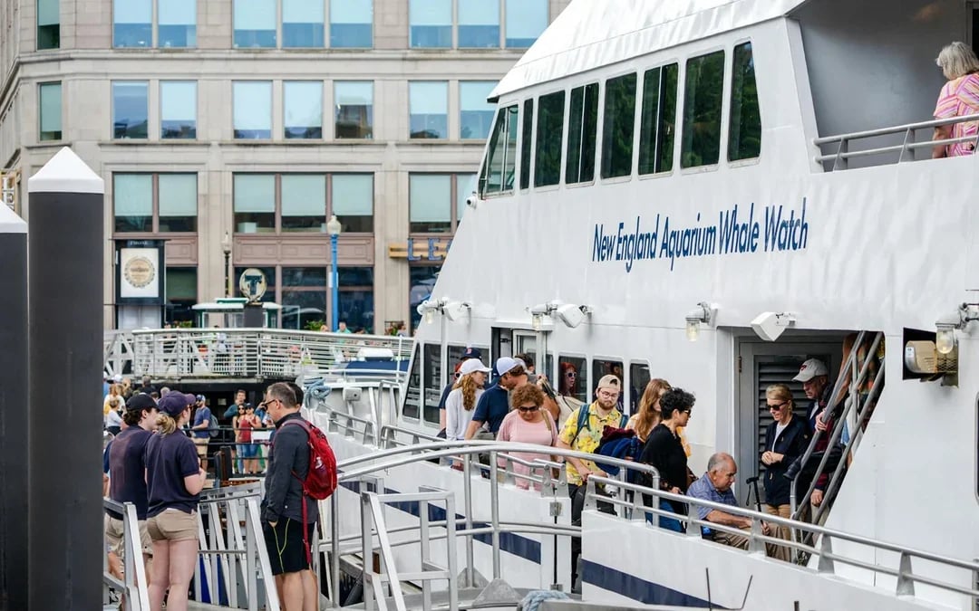 Boston Whale Watching Cruise by New England Aquarium Image 9