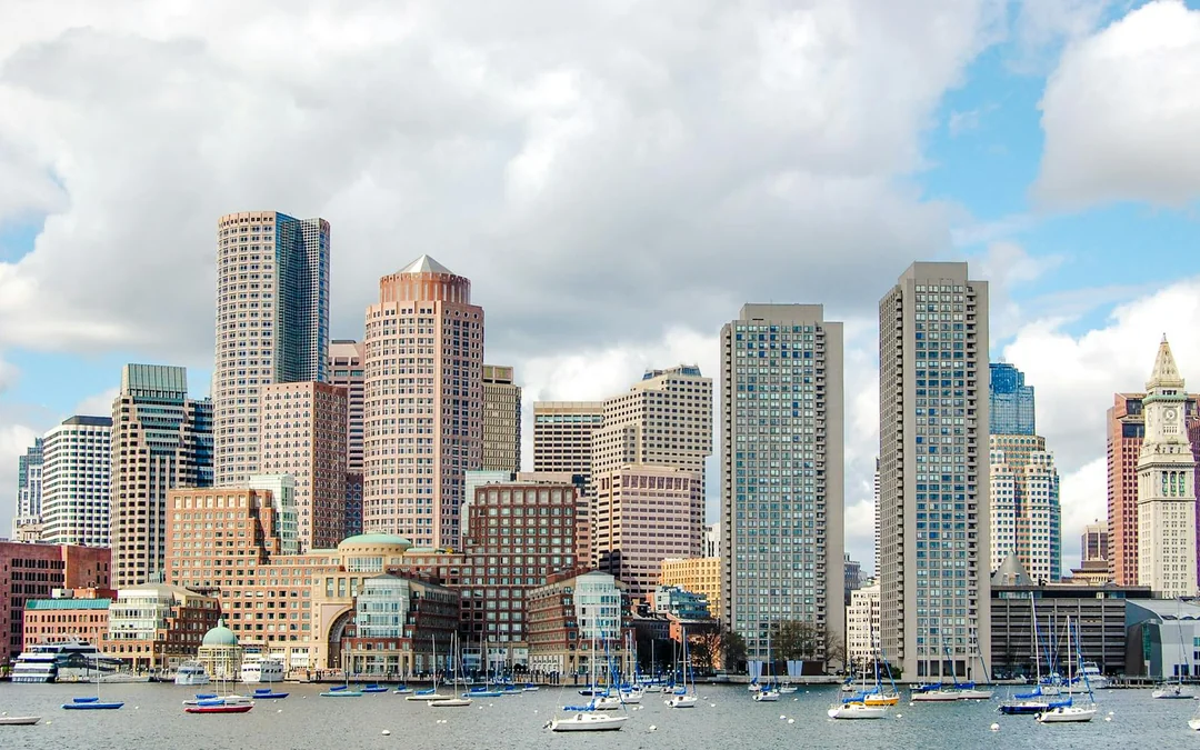 Boston Whale Watching Cruise by New England Aquarium Image 10