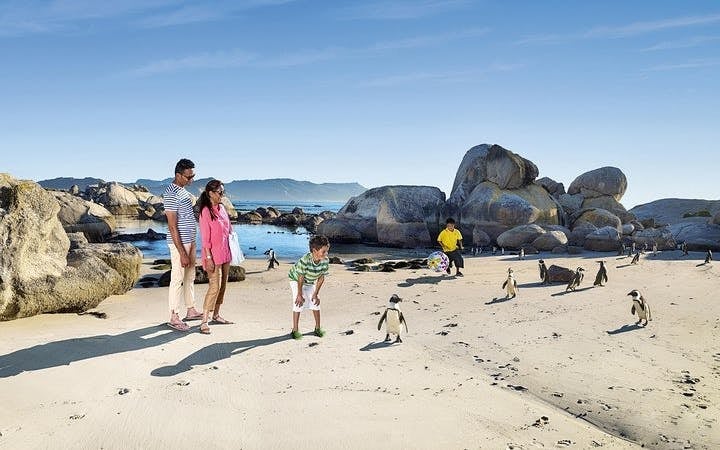 Boulders Beach Cape Town Guided Tour with Penguin Colony Entry and Swimming Image 1