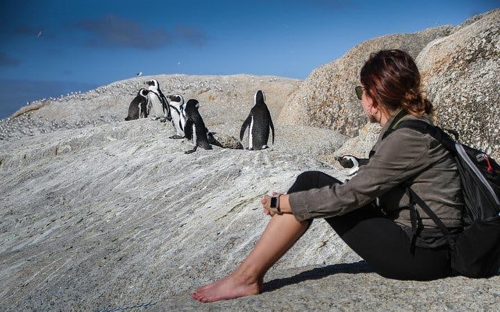 Boulders Beach Cape Town Guided Tour with Penguin Colony Entry and Swimming Image 7