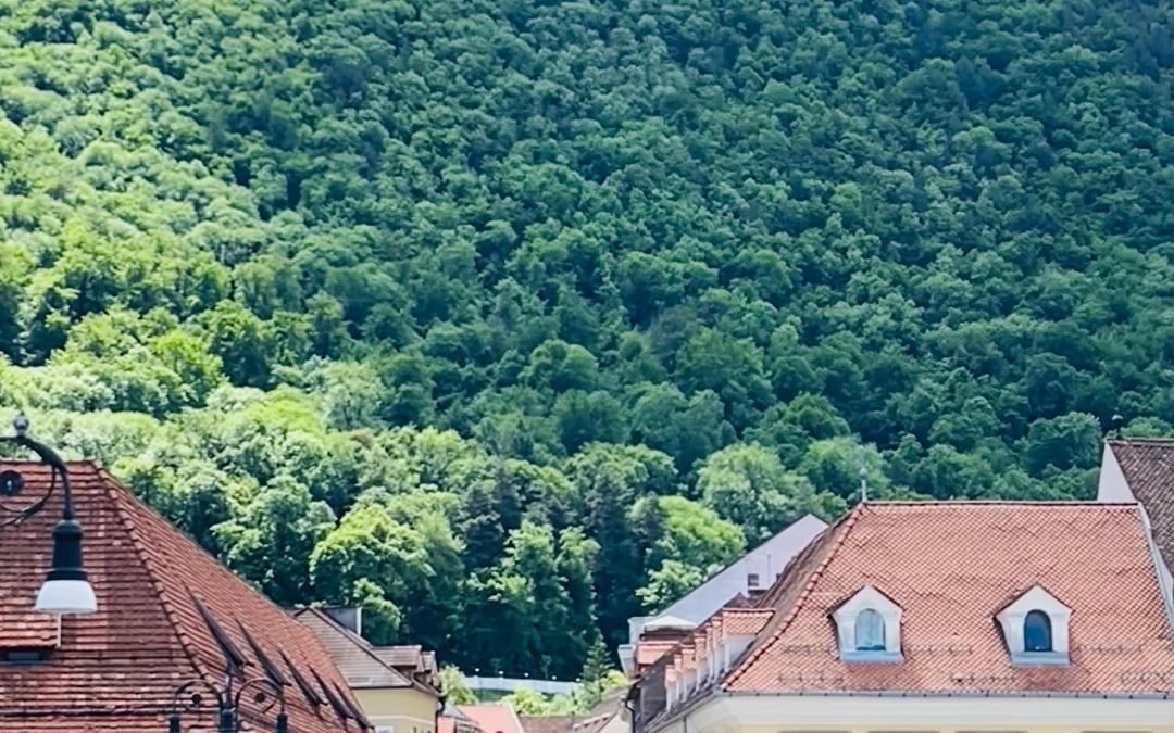 Brașov Guided Walking Tour with Local Stories Image 5