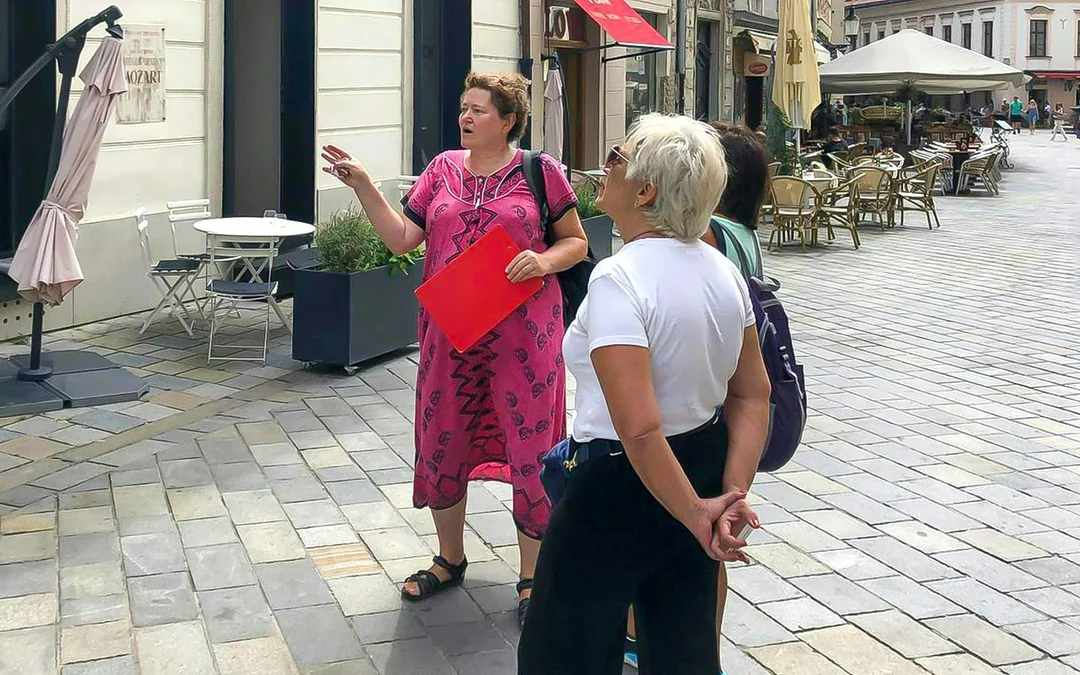 Bratislava Guided Walking Tour with Castle Entry Image 1