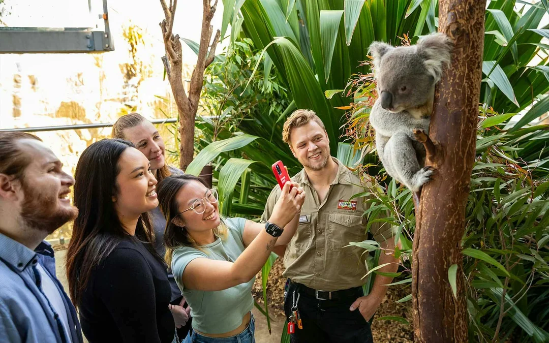 Breakfast with Koalas Tickets at WILD LIFE Sydney Zoo Image 2
