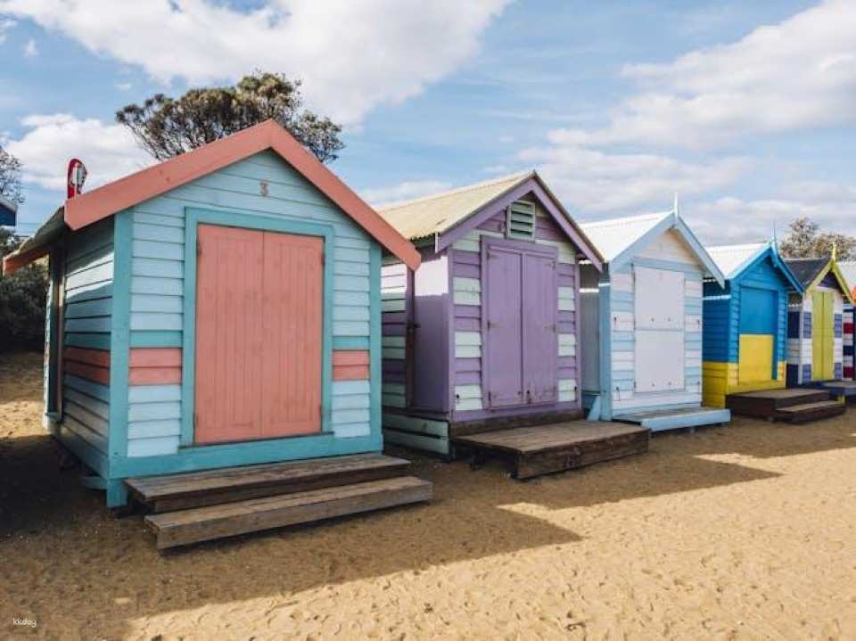 Brighton 1-hour tour with a local