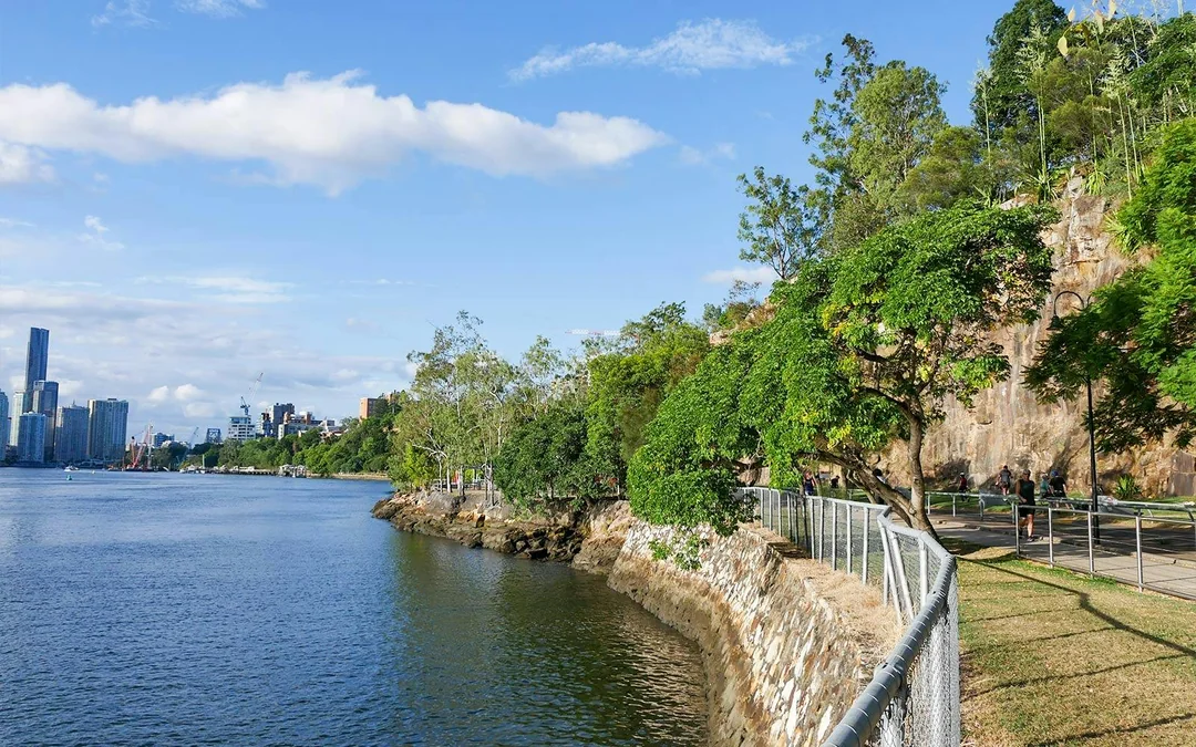 Brisbane River Sightseeing Cruise with Morning Tea Image 5